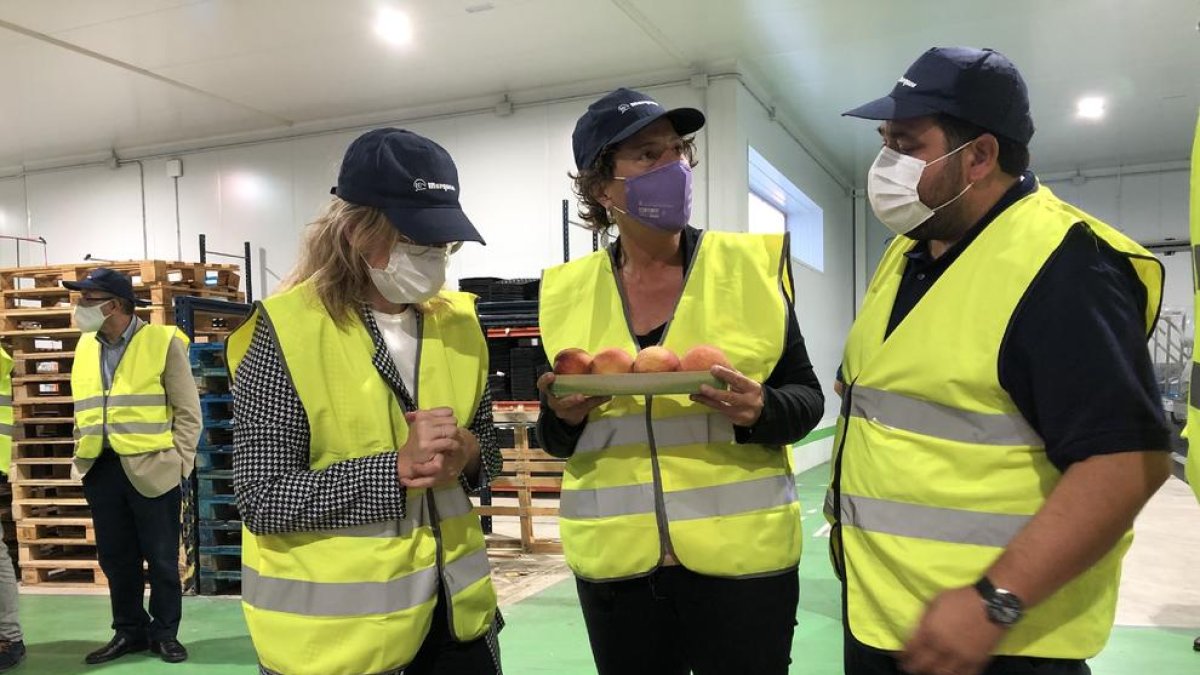 La consellera Jordà va visitar ahir les instal·lacions de l’empresa fructícola Baró i Fills, a Albatàrrec.