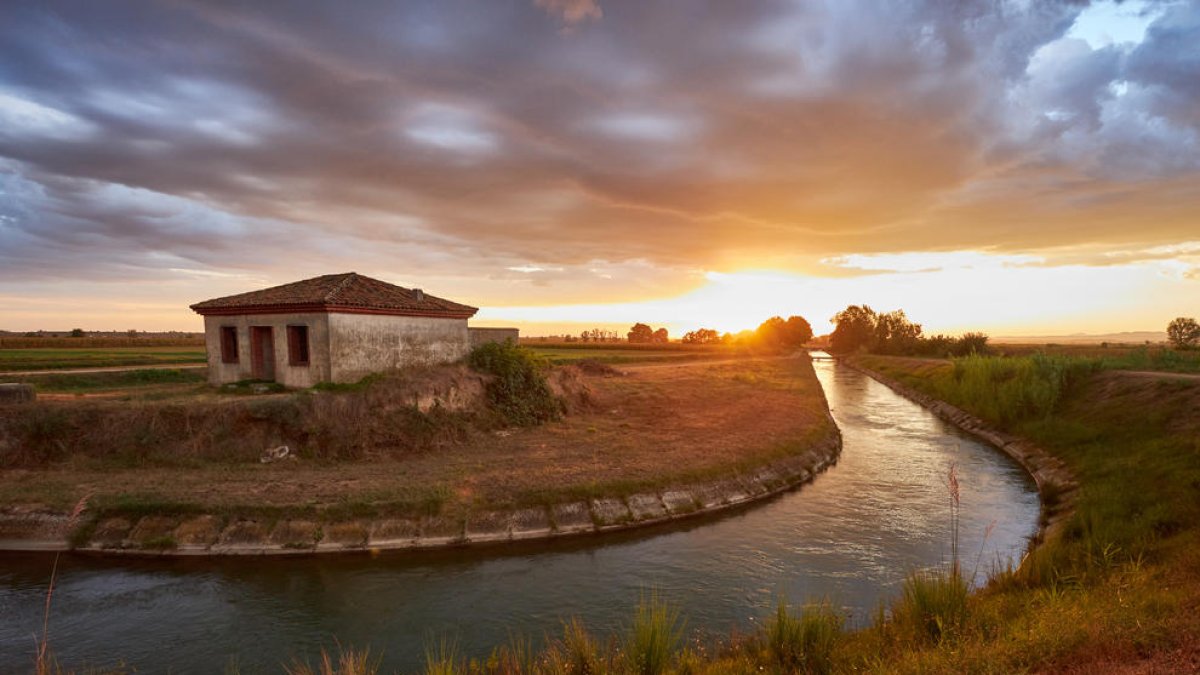 El Canal d'Urgell acaba obres per 3,8 milions per iniciar la campanya aquest mes