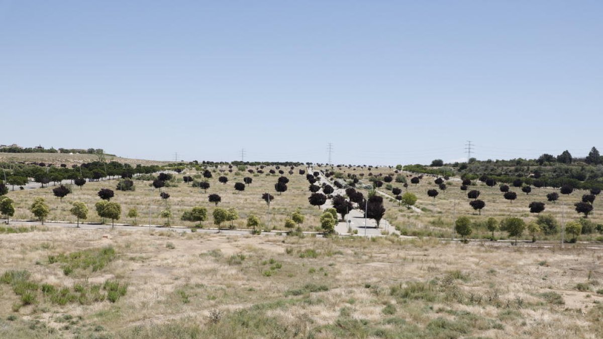 Vista del área de Torre Salses, entre Magraners y la Bordeta.