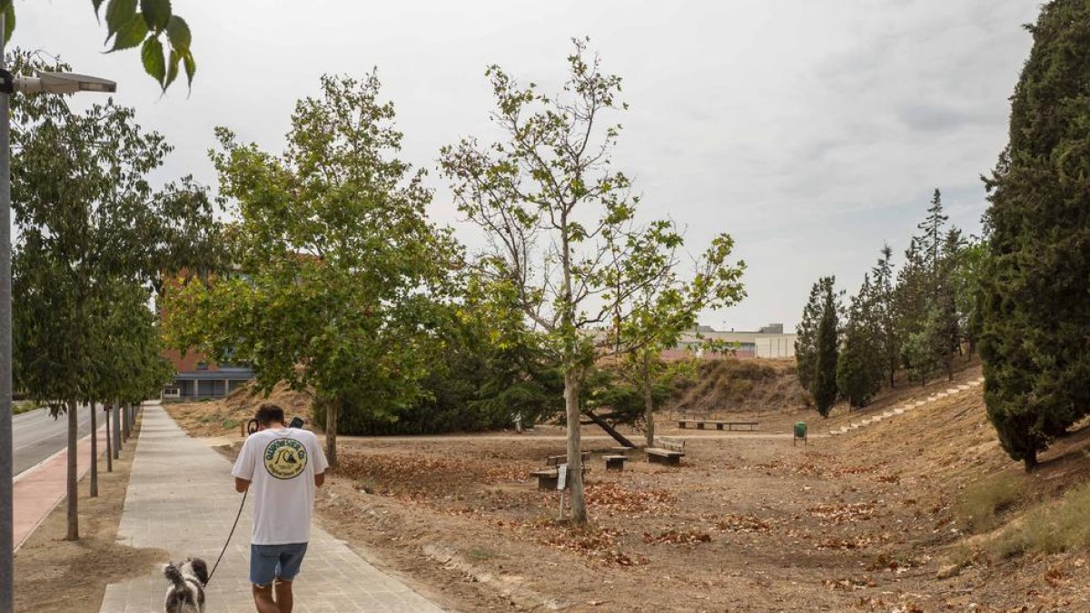 El lugar que acogerá el nuevo parque para perros.