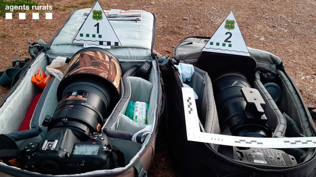 Denunciats per fer fotos al gall fer al Parc Natural de l'Alt Pirineu sense autorització