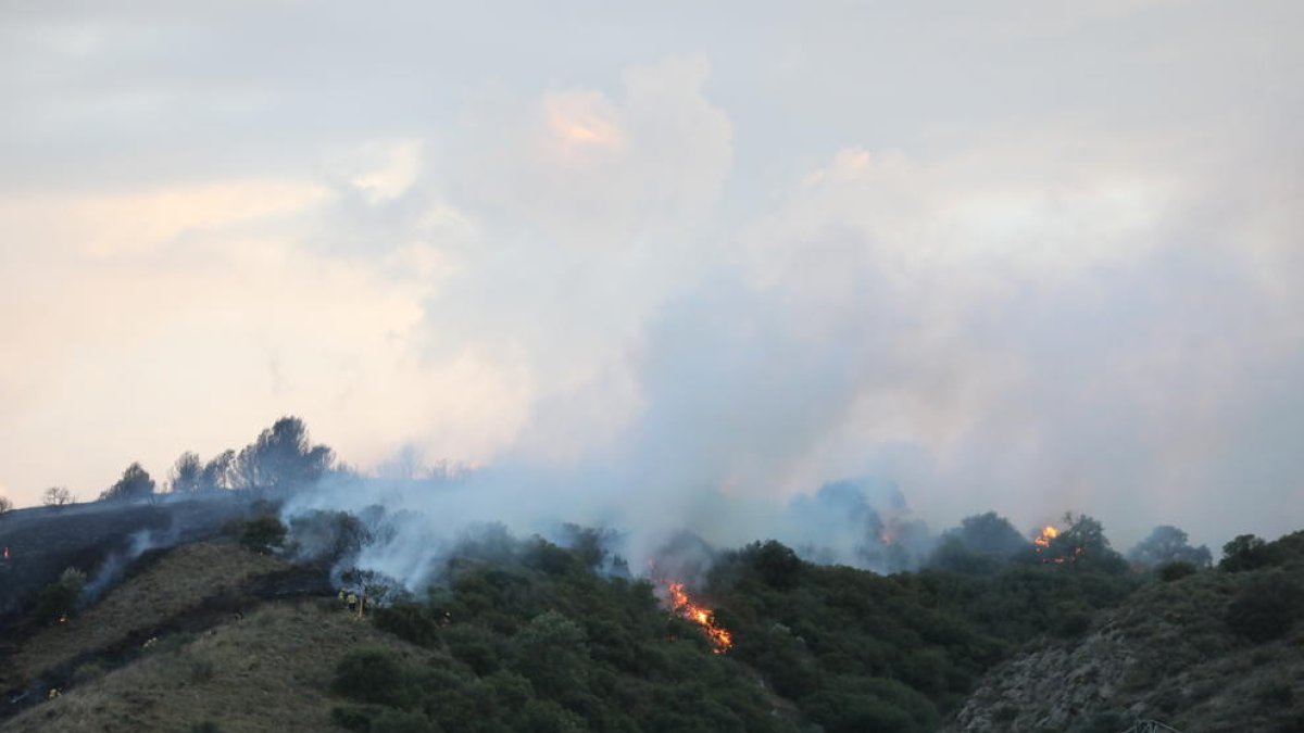Un incendio originado Alfarràs quema 55 hectáreas agrícolas y forestales de Catalunya y Aragón