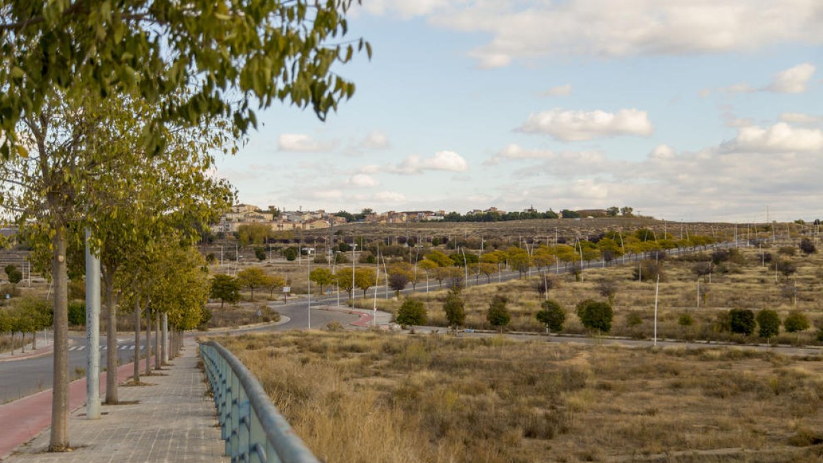 Vista de los terrenos del plan parcial de Torre Salses con Magraners al fondo.