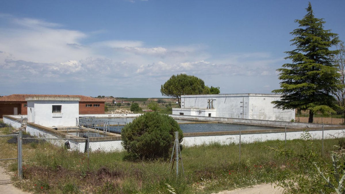 Els dipòsits de l’aigua de Bellpuig.