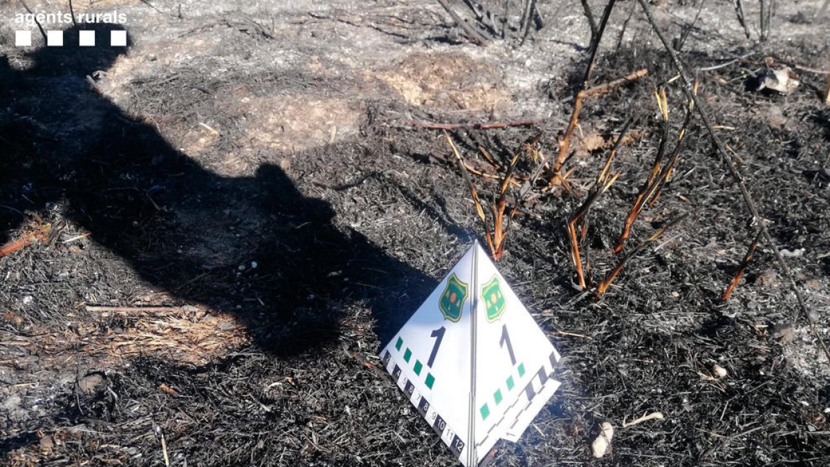 Imagen de la colilla localizada por los Rurales en los márgenes de la N-230 donde se inició el fuego.