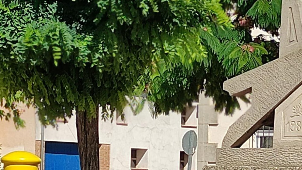 Un dels agents a la sortida de l’ajuntament de Vila-sana.