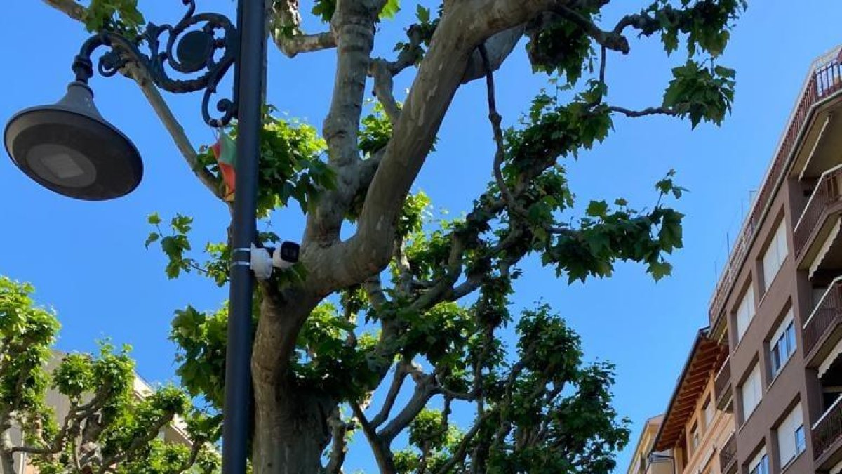 Una de las cámaras instaladas en la rambla Doctor Pearson.