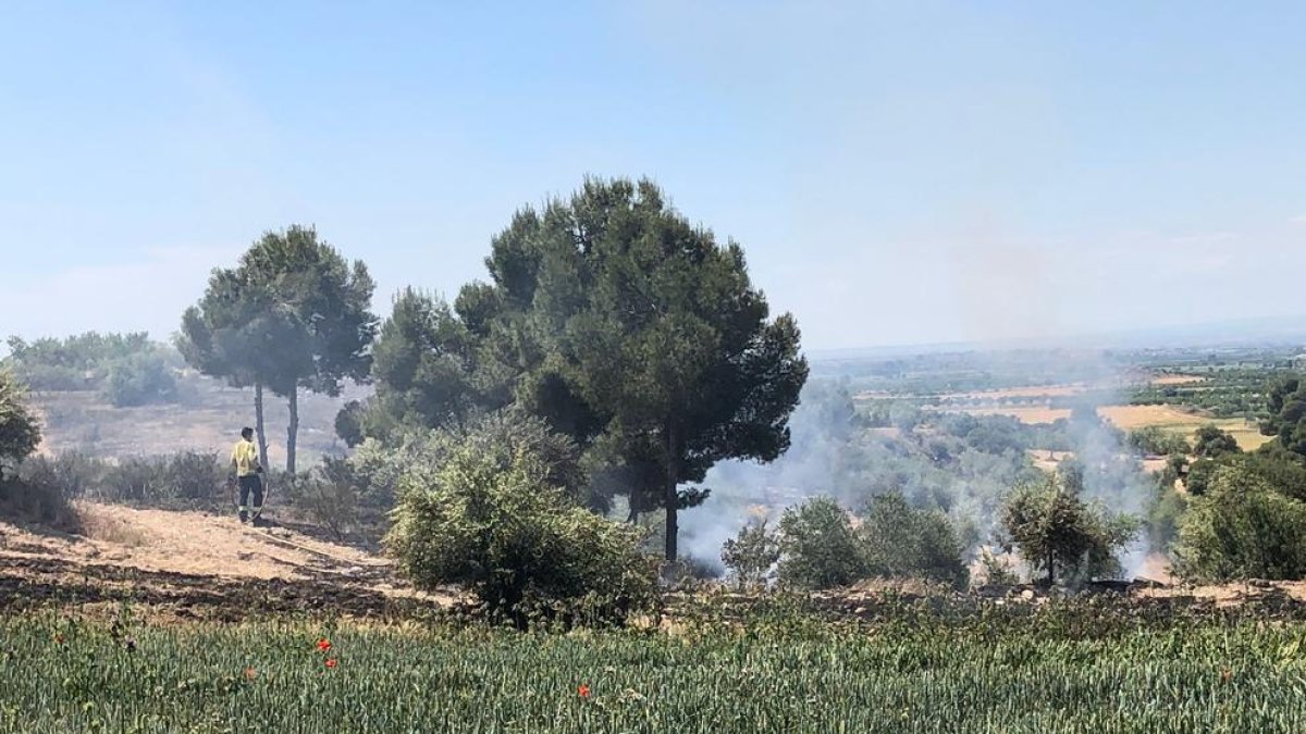 Actuación ayer en la zona de la Pleta, en Arbeca.