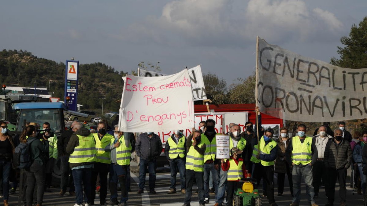 Un centenar de persones es van mobilitzar ahir de nou contra Agricultura per exigir ajuts.
