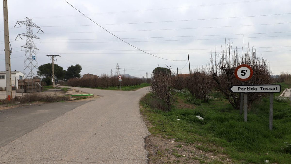 Vista de la partida Tossal, on es produeixen la majoria de robatoris.