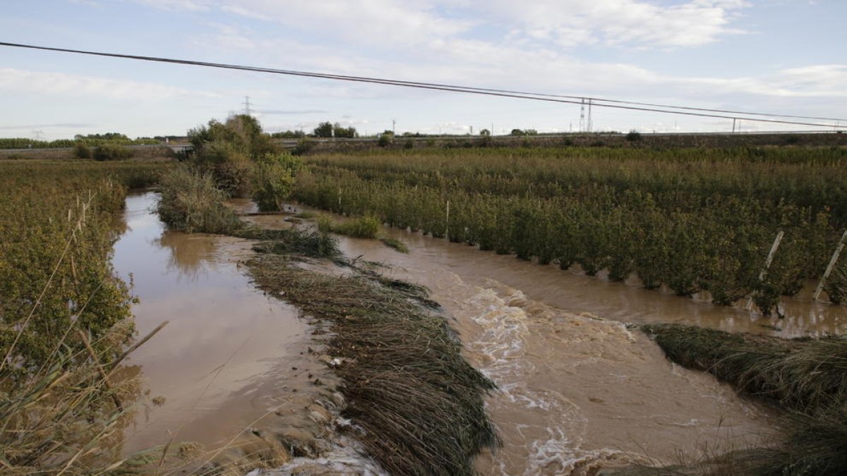 Fruiters de l’Horta de Lleida en les inundacions del 2019.