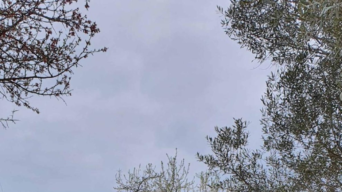 Marc, corriendo por los alrededores de Cervera cons sus dos perros.