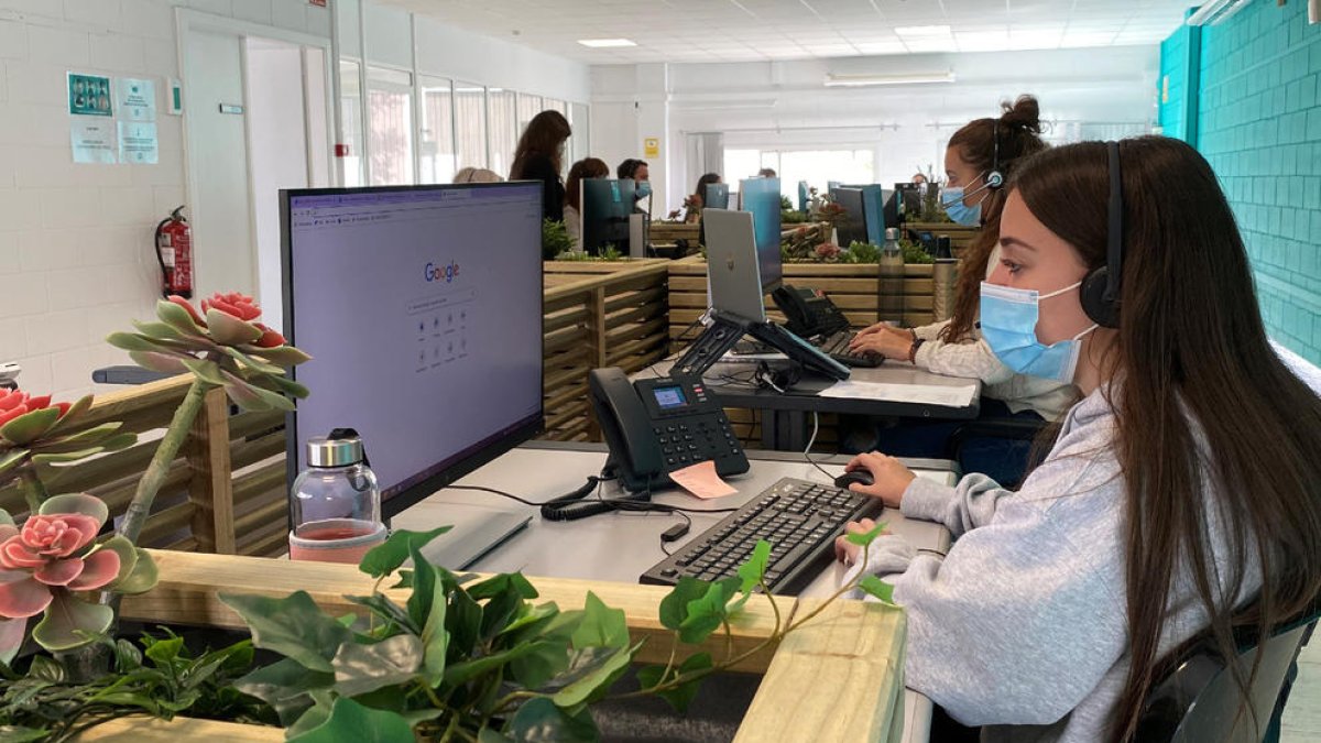 Personal del servei d’atenció telefònica del número 973 930 022.