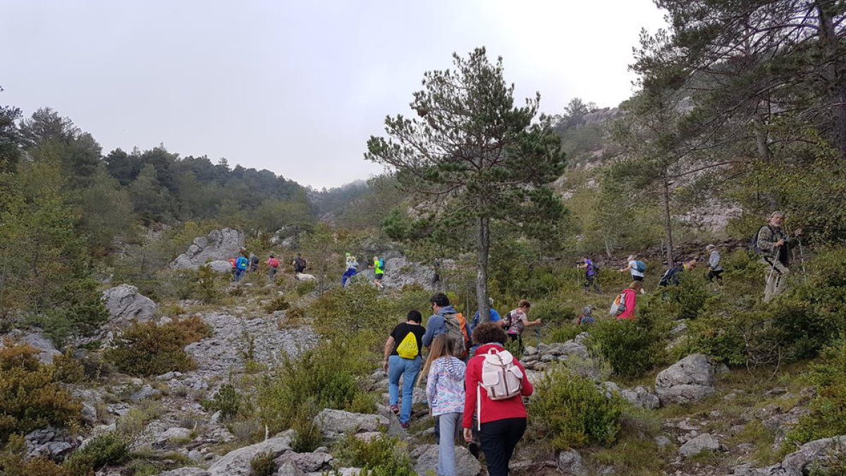 Imatge de senderistes al camí que va de Cava al Querforadat, a l’Alt Urgell.