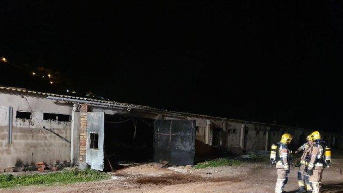 Vista dels efectius de Bombers ahir a primera hora al costat de la granja calcinada a Cervera.