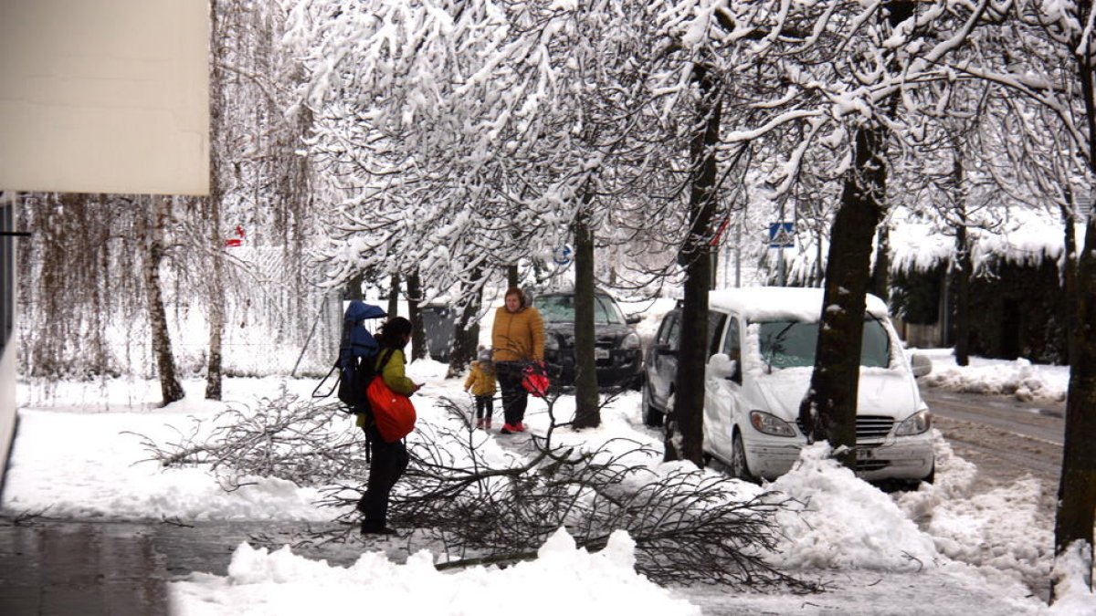 Cadenes en una dotzena de carreteres i línies de transport escolar suspeses al Pirineu