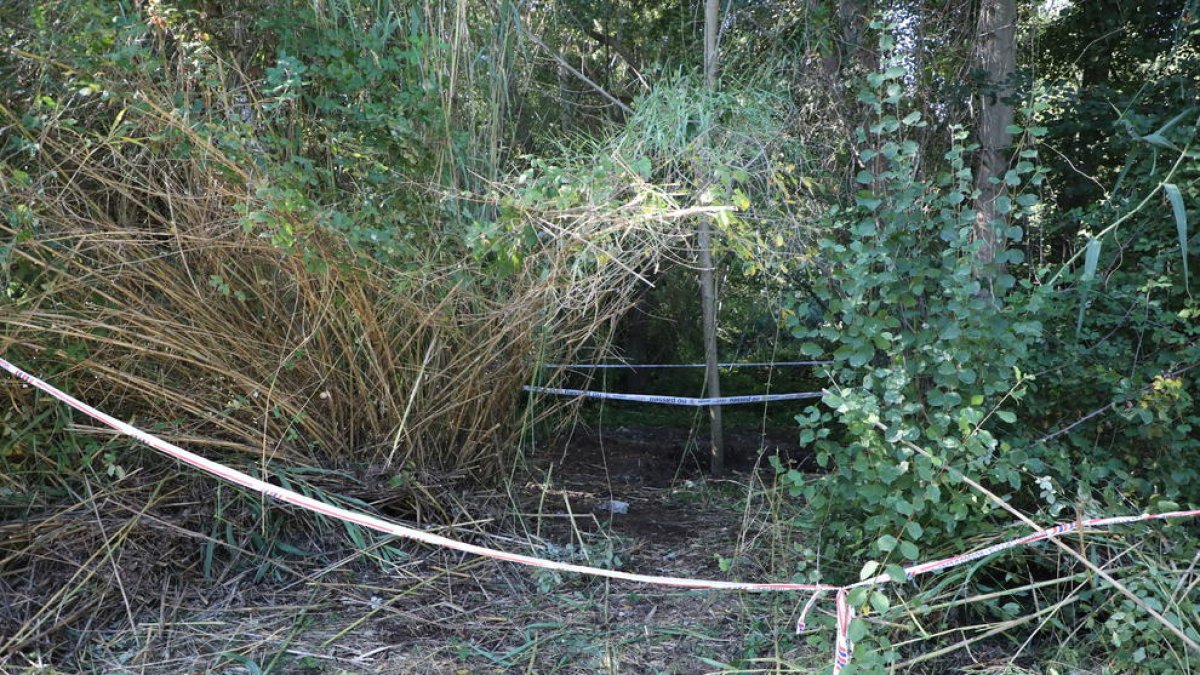 El cadáver estaba enterrado en este lugar de vegetación frondosa muy cerca del río en Albesa.