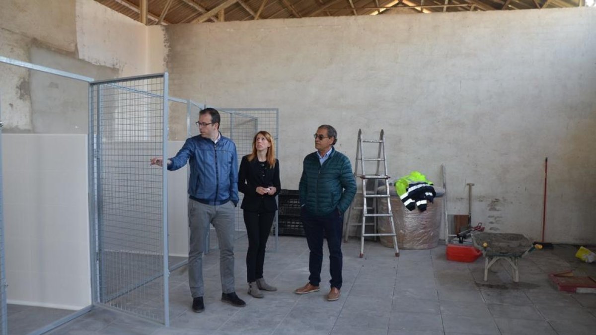 Mollerussa habilita un refugi temporal per a animals abandonats