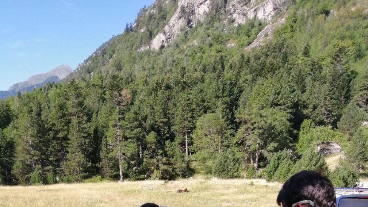 Imatge d’arxiu d’una recerca aquest estiu a Aigüestortes.