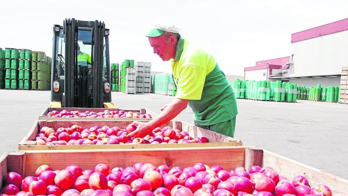 Imatge d’arxiu de retirades de fruita a causa dels estralls causats pel veto rus.