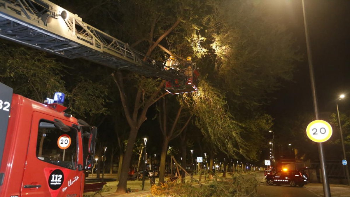 Els bombers, en plena tasca dimecres a la nit.