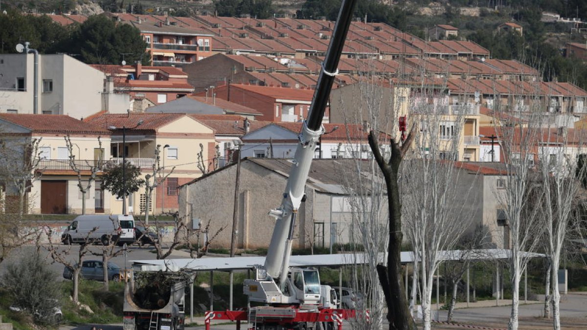 Els treballs per retirar els grans troncs que s’han acumulat a la cua de Riba-roja.