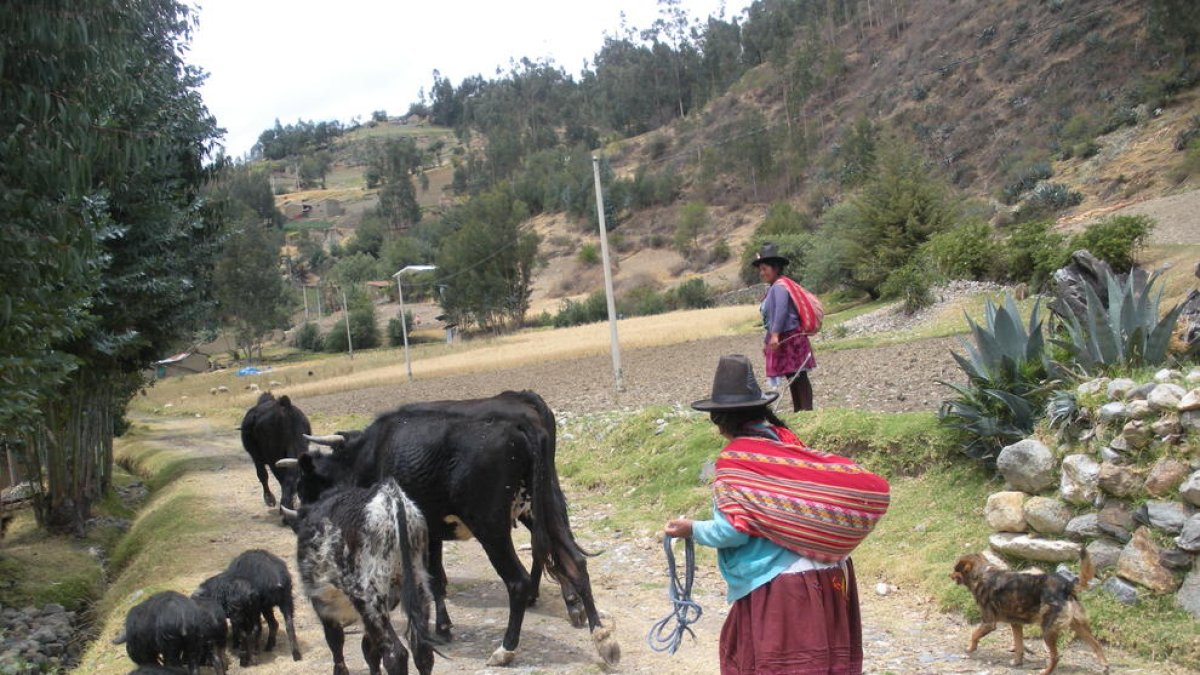 Matemàtica per a una agricultura intel·ligent