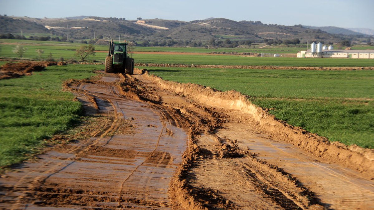 Las máquinas trabajando en los primeros drenajes de las fincas del término municipal de Balaguer.