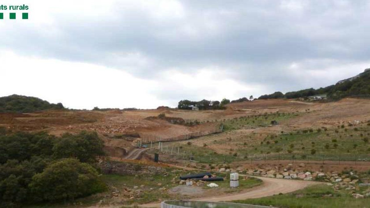 Finca en la qual s’han plantat alzines tofoneres.
