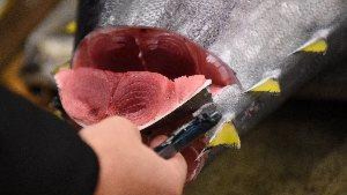 Siete leridanos intoxicados para comer atún