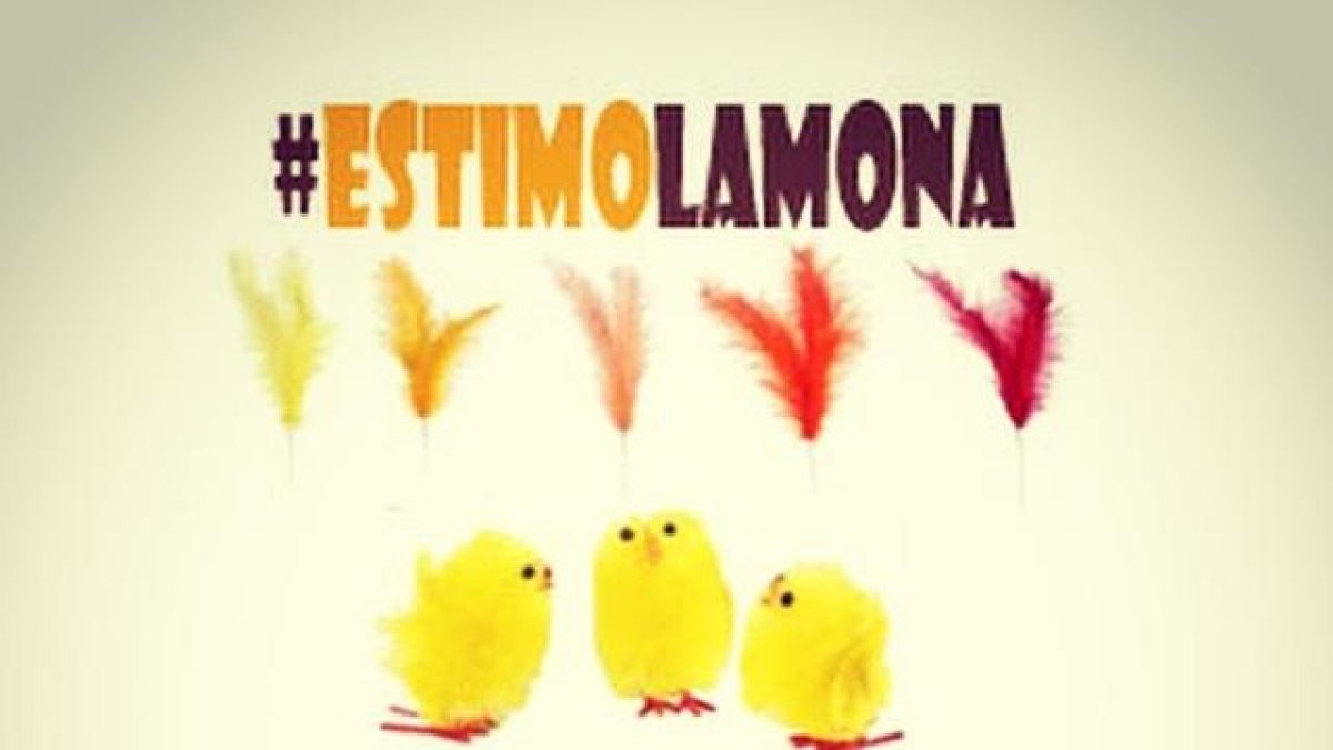 Cercle estima la mona