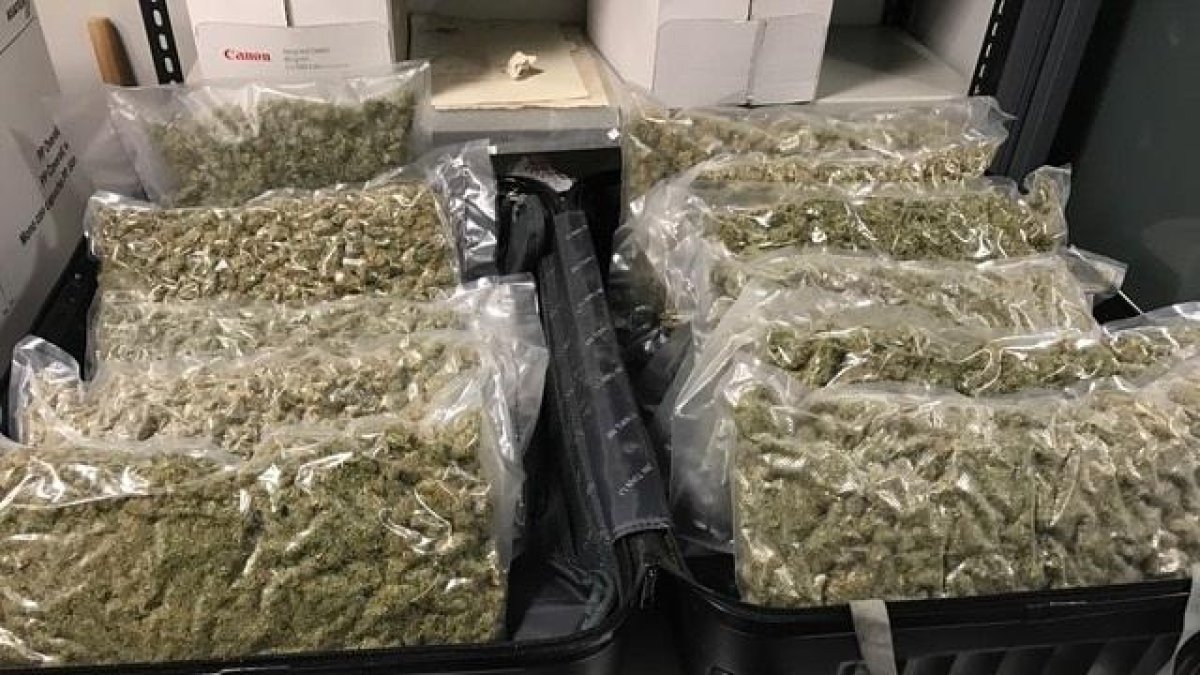 Las bolsas con marihuana que la detenida llevaba en la maleta intervenida por los Mossos.