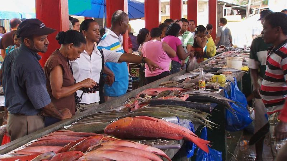 El 33 estrena 'Horitzons'