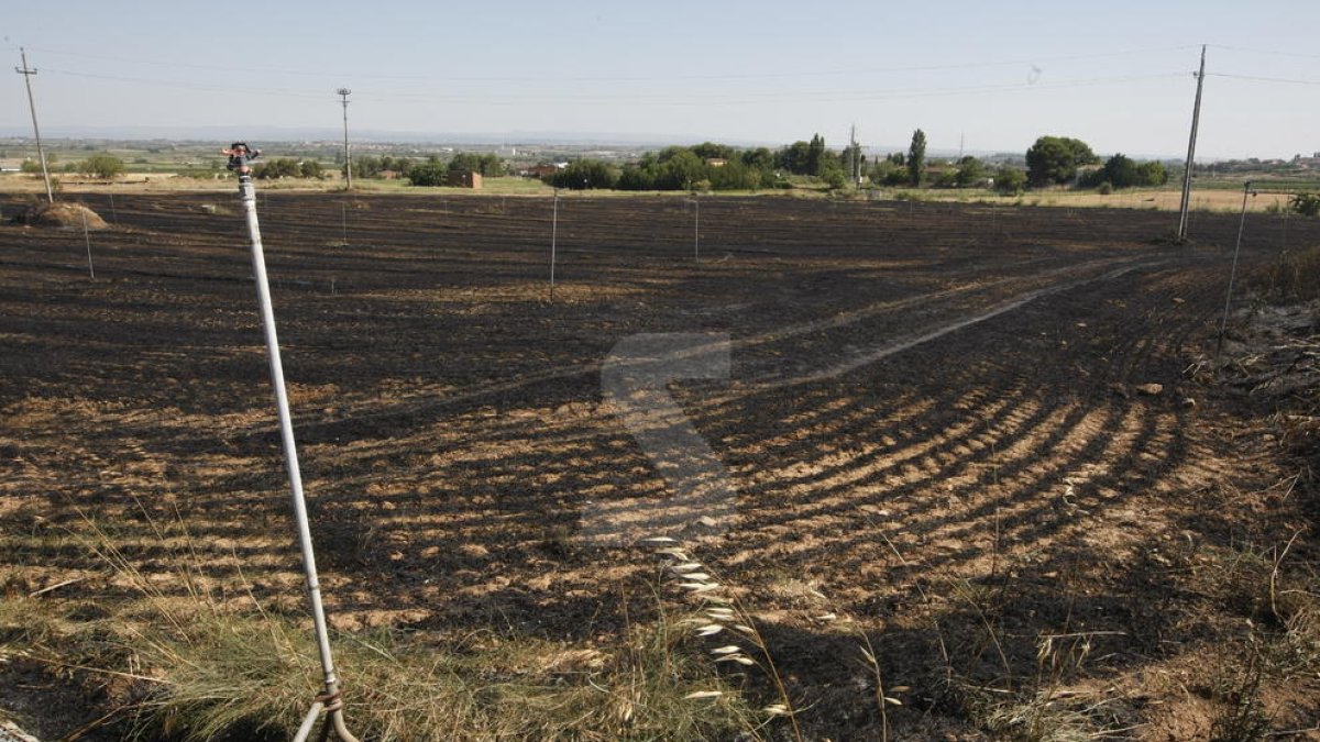 Els Bombers treballen en cinc incendis agrícoles a Lleida