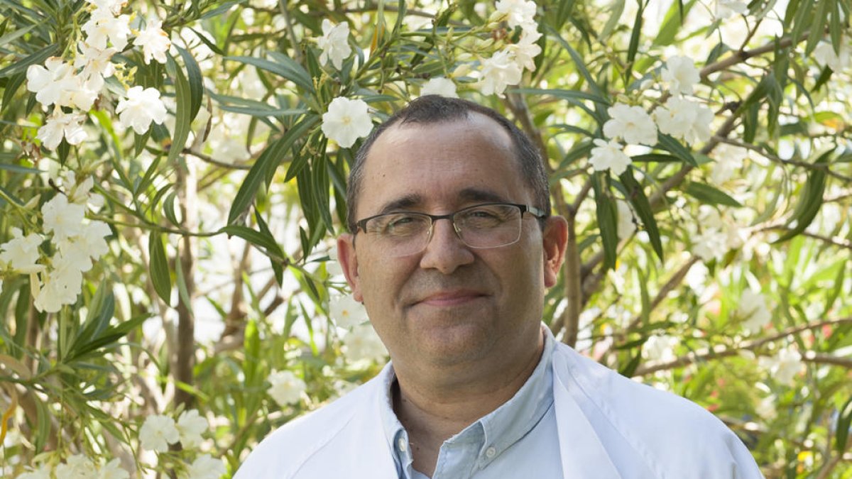 Un estudio de Bellvitge constata que los años de duración de un trastorno alimentario son decisivos en el éxito de la recuperación