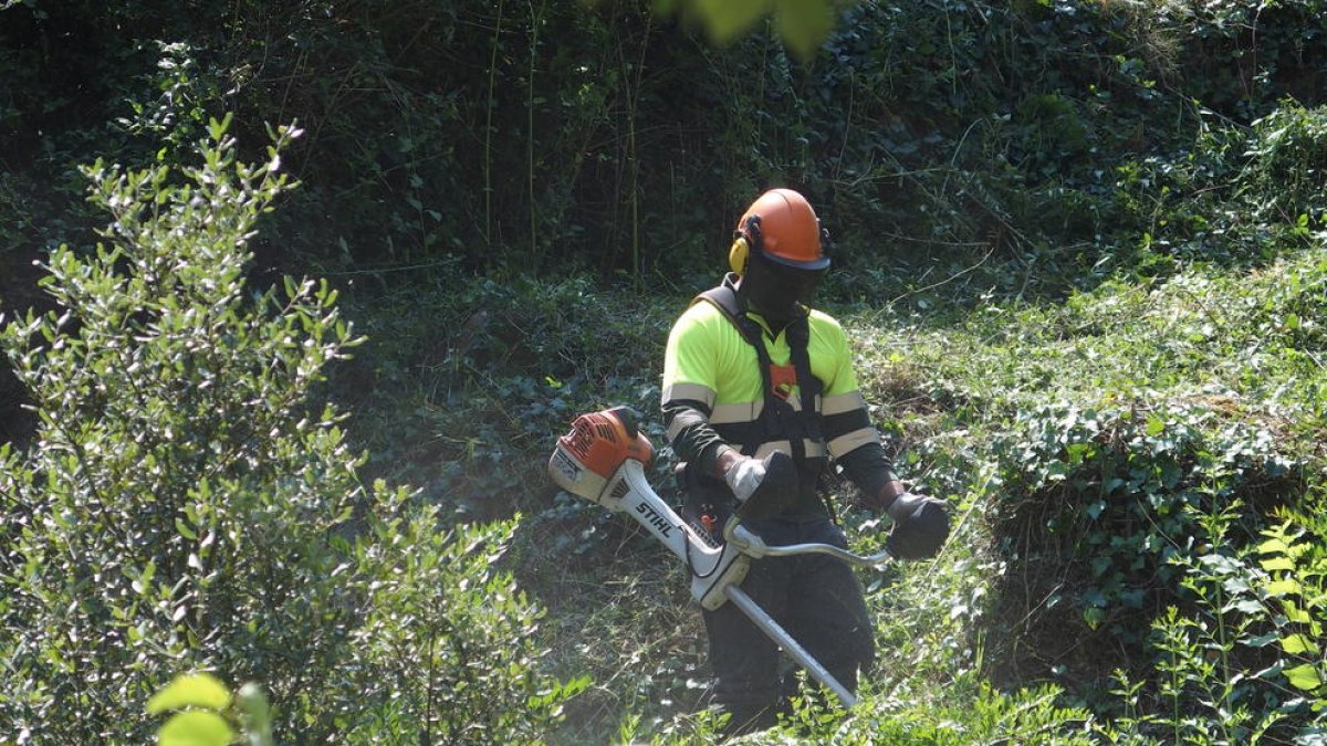 Endesa destina més de 3,8 milions d'euros a netejar i protegir els boscos de Lleida