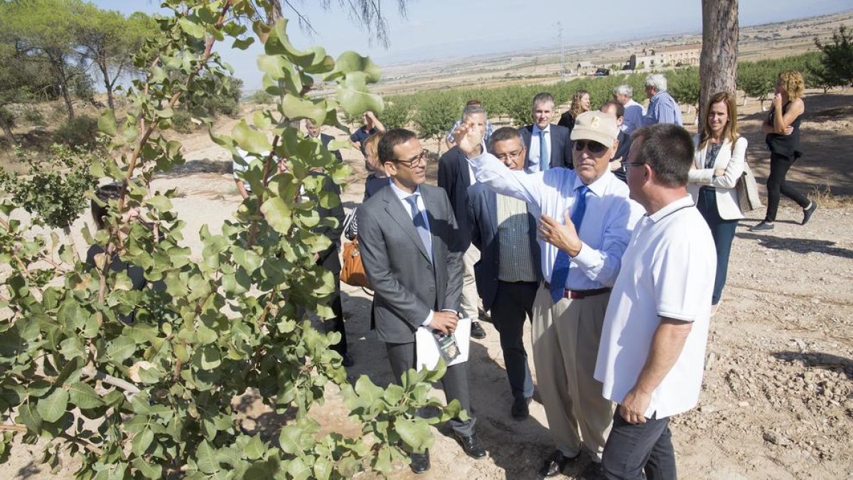 Josep Pont dóna explicacions als visitants de la plantació de Mas de Colom, en una imatge d’ahir.