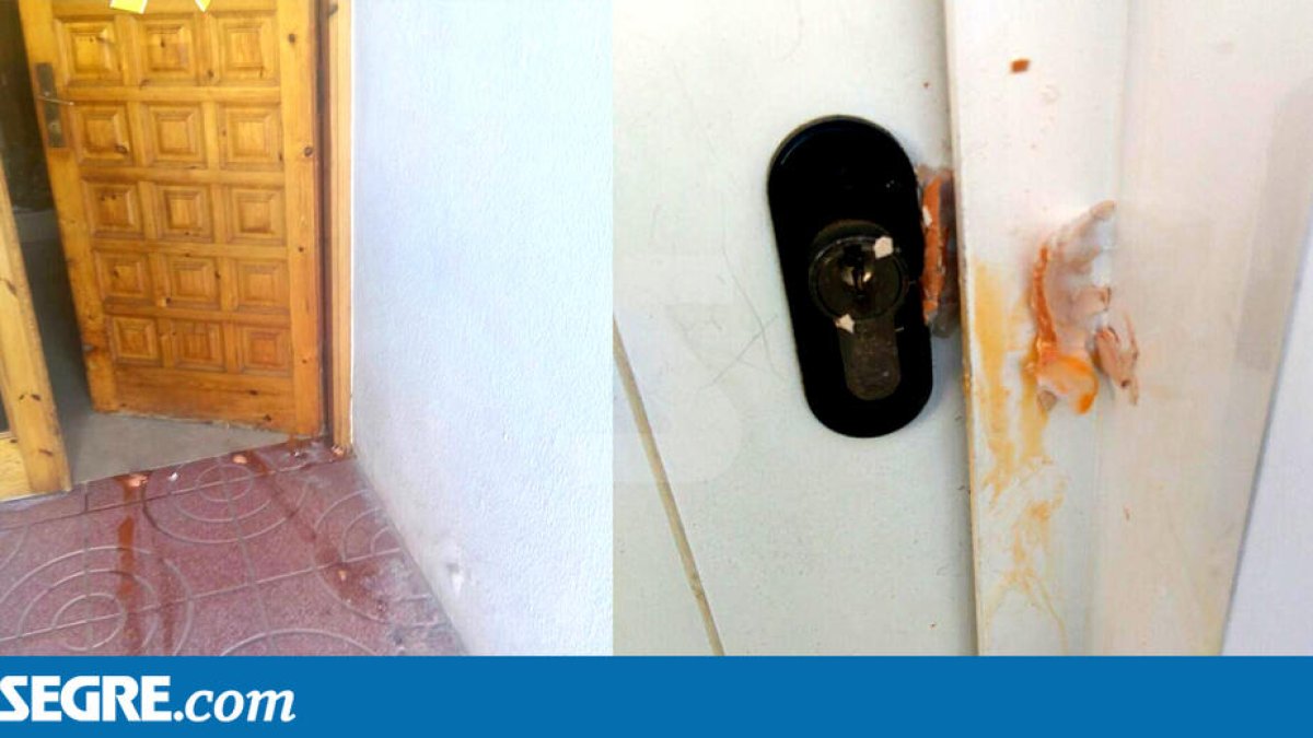 Ataquen amb ous cases amb llaços grocs