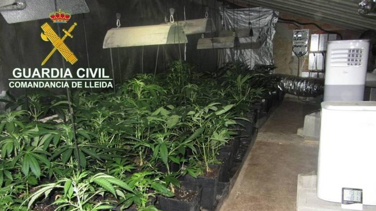 Imatge d’una les habitacions de l’habitatge.