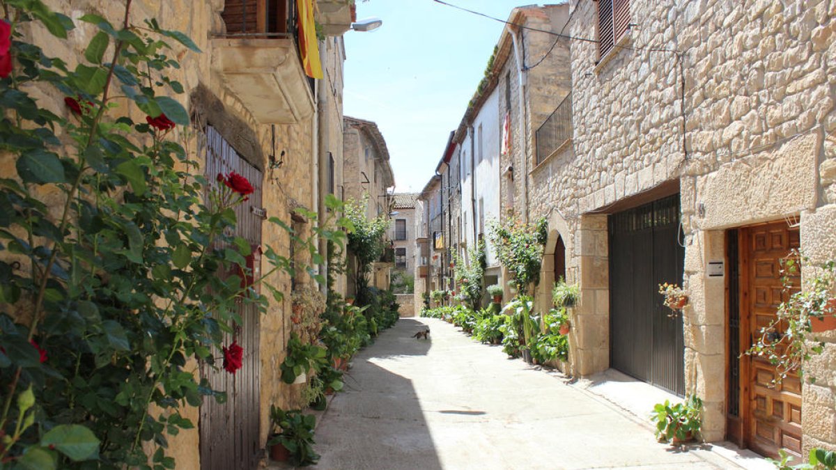 Imatge del centre urbà de Vinaixa