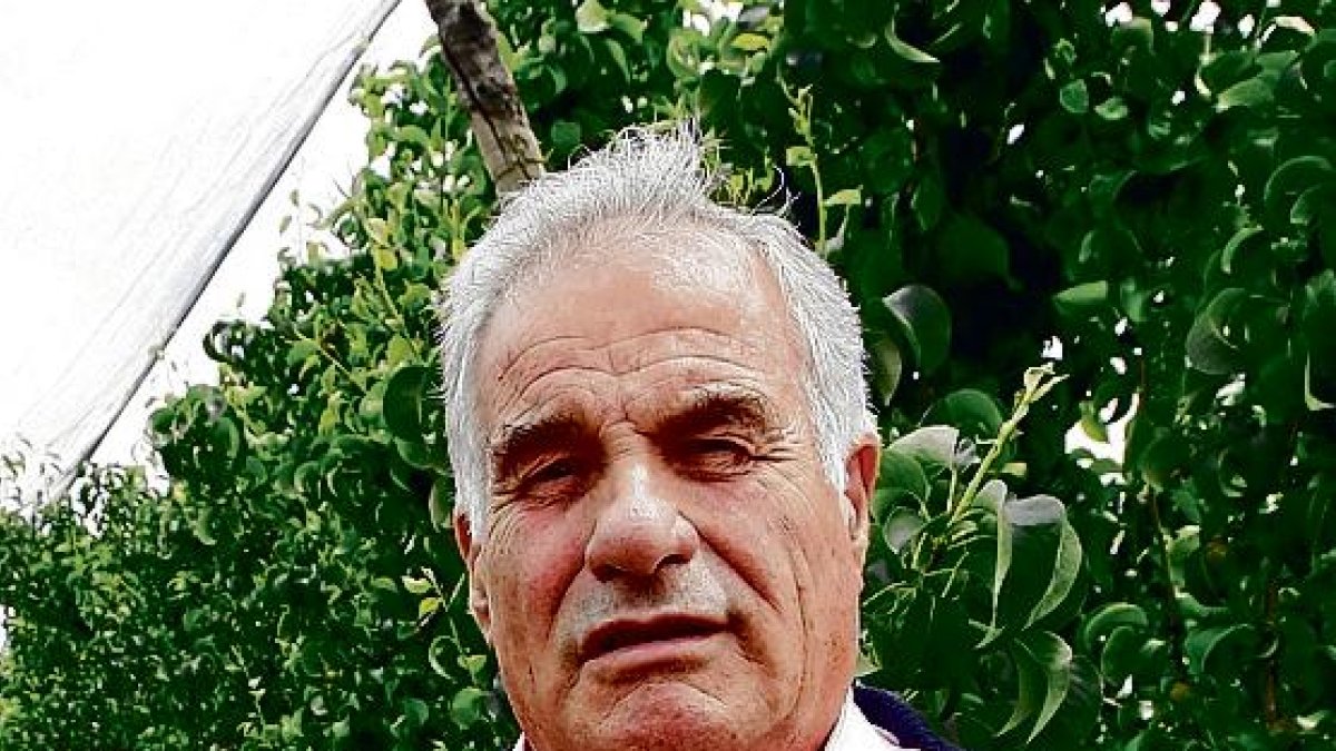 Climatologia agressiva i previsió de collita