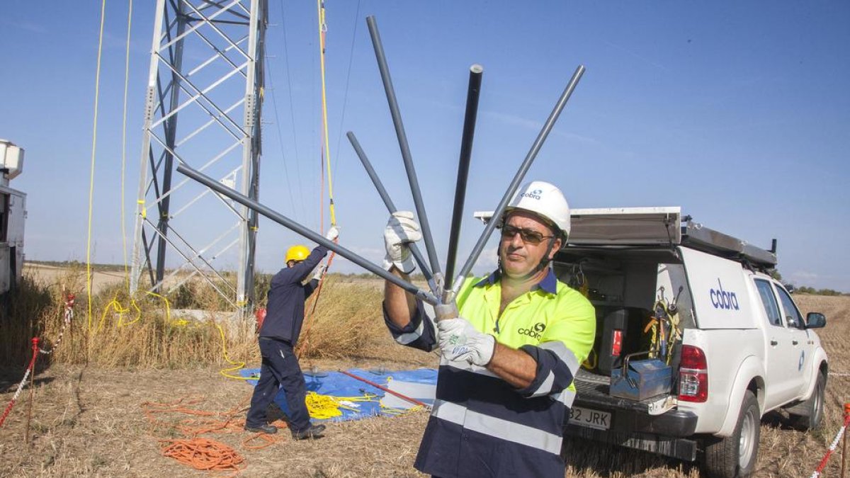 Una de les proteccions instal·lades a la línia elèctrica entre Tàrrega i Mollerussa.