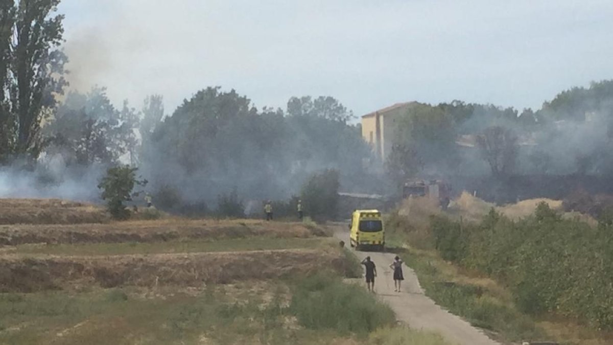 Imagen del fuego en la partida Boixadors.