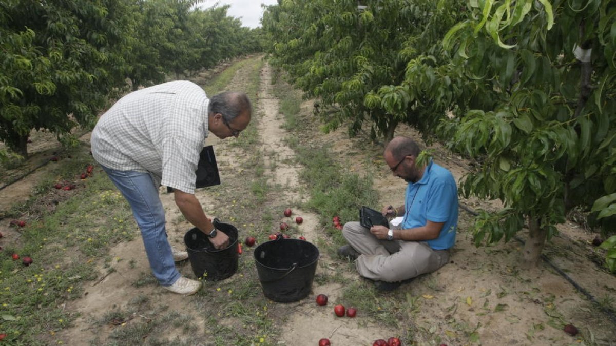 Imagen de archivo de una peritación de una finca siniestrada.