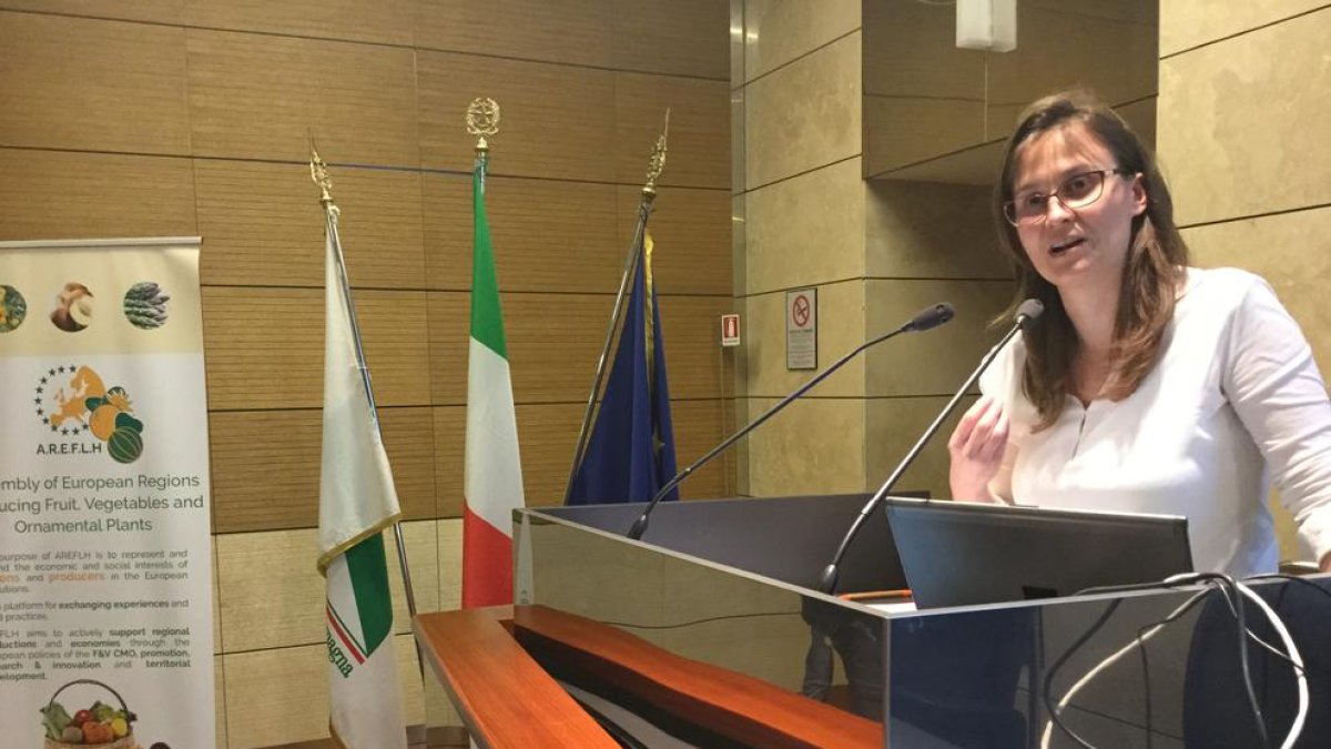 Serret reclama que Brussel·les activi les mesures previstes per al sector de la fruita davant del veto rus