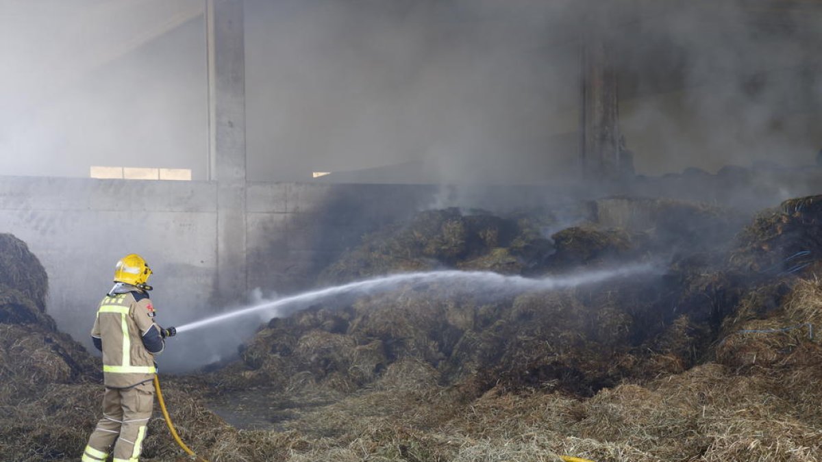 Un bomber apagant ahir l’incendi a l’interior de la granja.