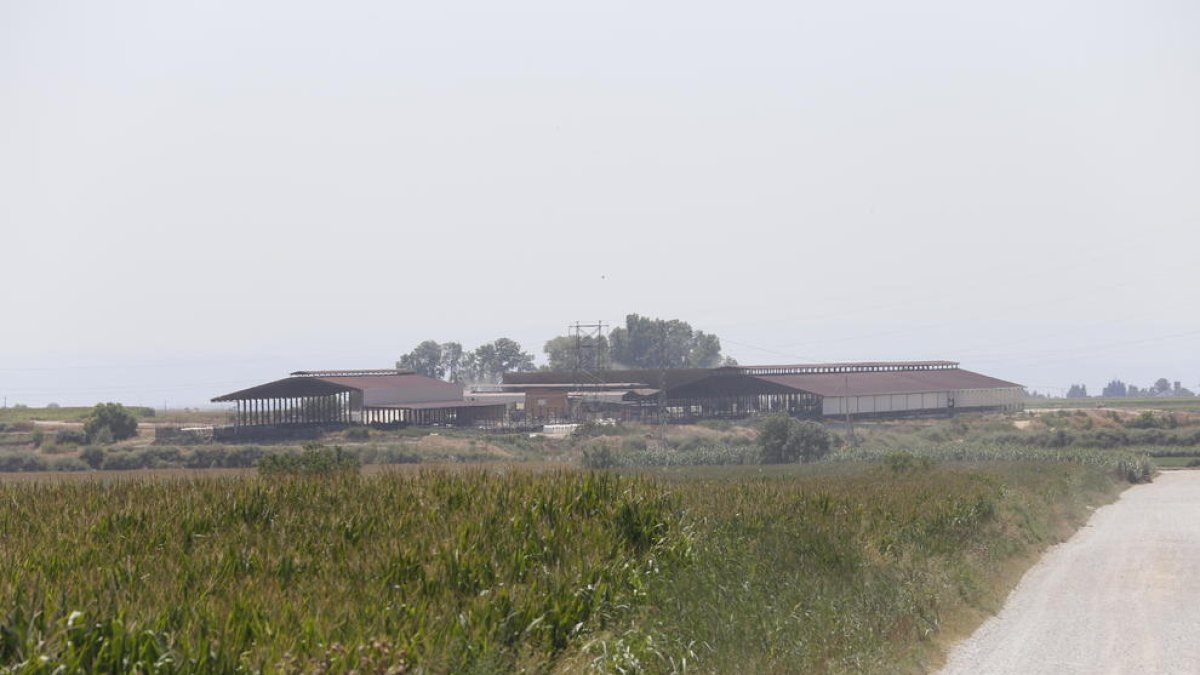 Granja