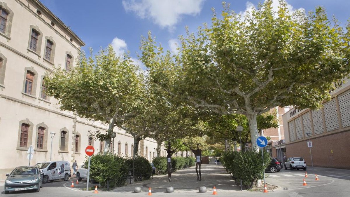 Imatge del passeig Jaume Balmes de Cervera.