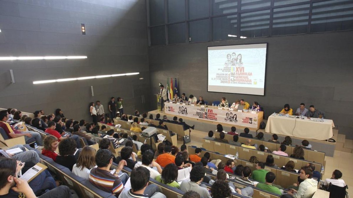 Set de cada deu joves creu que haurà de