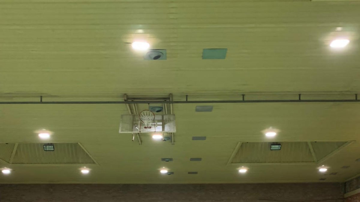 Acabades d’ascendir a la Primera divisió, el CECELL lidera la classificació malgrat no tenir entrenador.